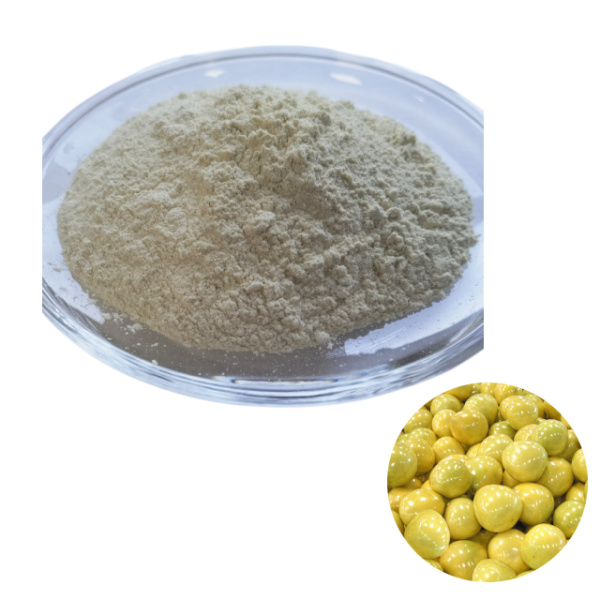 95%naringin Powder-4