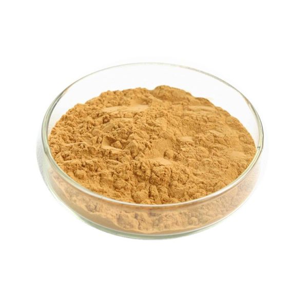 Gingerol-1